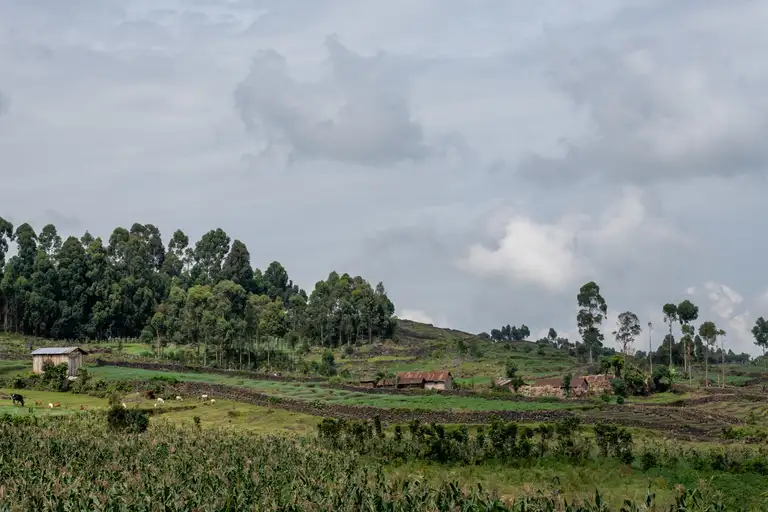 Gallery Slide
