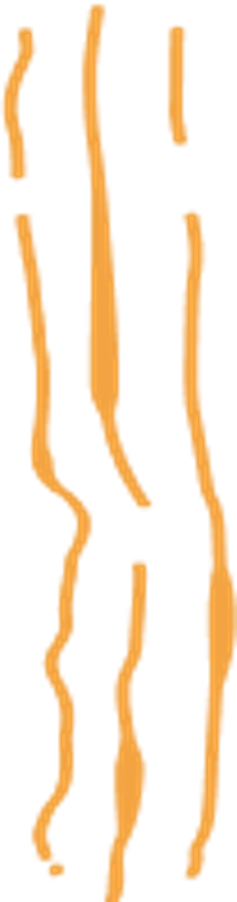 Claw