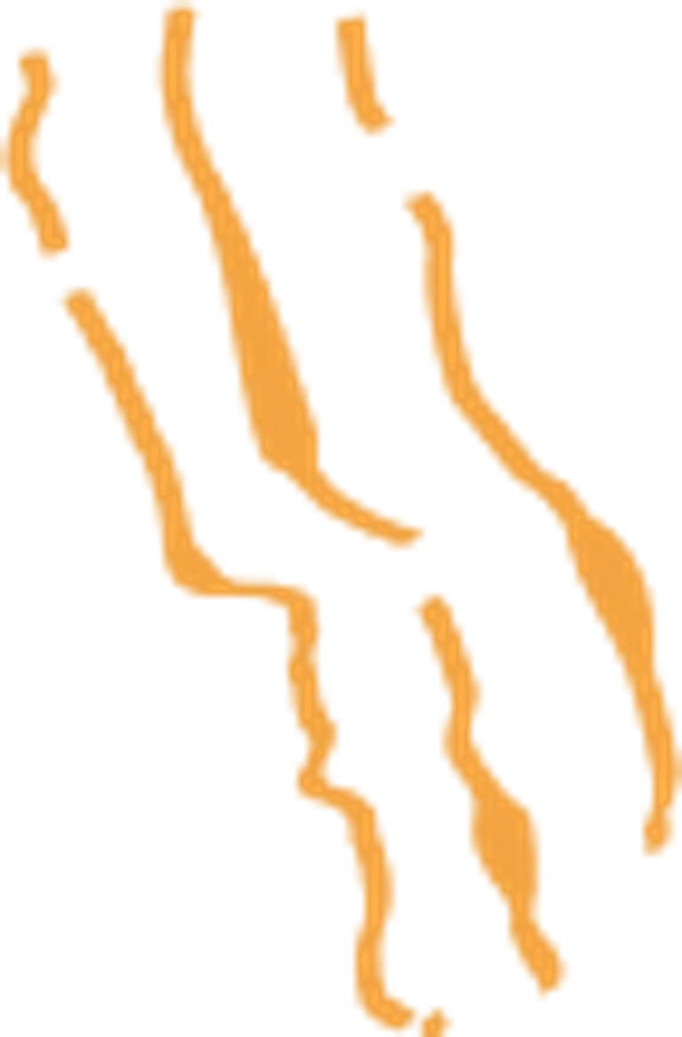 Claw